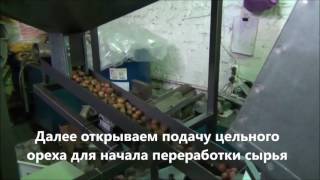 Тест дробилки для фундука и кедрового ореха урожай 2016