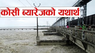 कोसी ब्यारेजमा भारतको झेल ||कोसी ब्यारेजको यथार्थ||Kosi Barrage||KoshiBridge