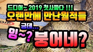 부여 가화지 다녀왔습니다 201904