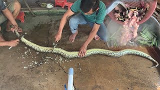 Làm Thịt Con Trăn Khổng Lồ Ăn Mừng U22 VN Dành Huy Chương Vàng Seagames 30