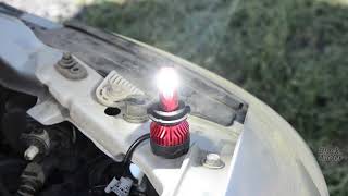 LED лампы H7