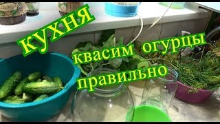 кухня, квасим огурцы правильно, влог шаповаловы коля оля