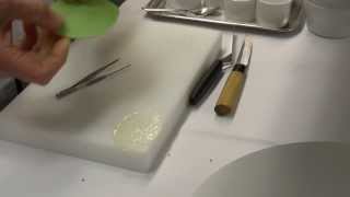 Bart Desmidt prepares a scallop starter at his Michelin star Restaurant Bartholomeus in Belgium
