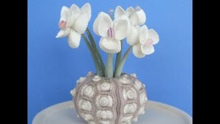 Поделки из ракушек, красивые цветы