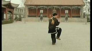 Master Wang Haijun performs Chen Style Taijiquan Competition Routine