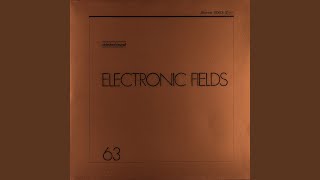 Electronic Fields 27