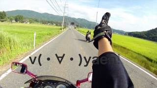 【バイク乗らない人も】蒜山Yaeh!高原ツーリング【観て楽しめる】