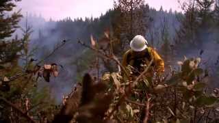 Find Your Path: Wildland Firefighter