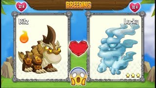 NEW BREEDING: Double Terra Dragon & Double Pure Dragon | DRAGON CITY ?