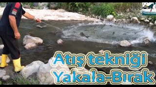 BALIK AVI SERPMEYLE ORDU 2019-2020 süper manzara (net fishing - spreading fishing)