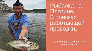 Рыбалка на Плотине. В поисках работающей проводки. Май 2018