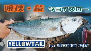 俺の釣り by HHF 晩秋・続 ショアスロー 青物 in 瀬戸内海 堤防