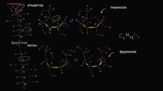 Молекулярная структура фруктозы (видео 4) | Макромолекулы | Биология