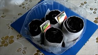 Рассада перца в улитке!