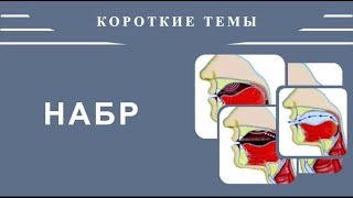 Айман Сувейд. 4. Короткие темы: НАБР (с субтитрами на русском)