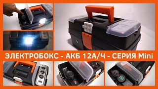ЭЛЕКТРОБОКС для АКБ до 12Ач НА ЗАКАЗ. Серия Mini. Часть1-Функционал