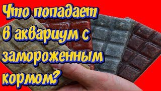 Замороженный корм для аквариумных рыб! Промывка замороженного корма перед кормлением!
