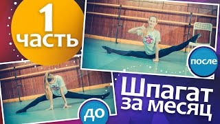 1 Часть. КАК СЕСТЬ НА ШПАГАТ? 100% эффективные упражнения для шпагата. Поперечный шпагат за месяц.