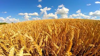 Очень красивая музыка и красота родного края!