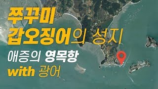 13.영목항 - 낚시꾼을 위한 불친절한 포인트 설명서 (feat. 영목항에 관한 불편한 진실)