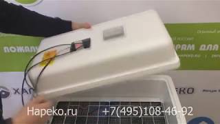 Обзор инкубатора Несушка на 36 яиц