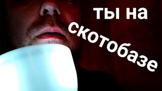Эй, бычок, я выведу тебя со скотобазы! И ты перестанешь пить алкоголь
