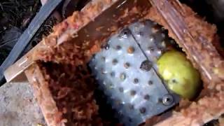 терка дробилка для яблок и отжатия сока своими руками