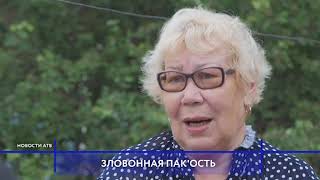 Новости АТВ (26.06.19). Жители пригорода Улан-Удэ из-за смрада готовы на крайние меры.