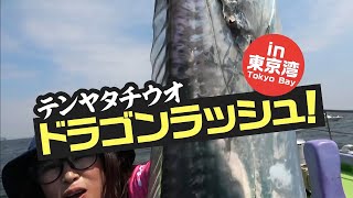 テンヤタチウオ ドラゴンラッシュ！ in 東京湾