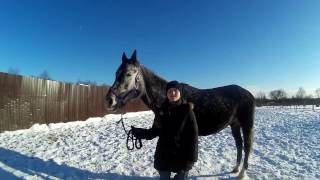 Залезаем на лошадь без седла / Жизнь в деревне.