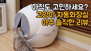 가성비 갑  고양이자동화장실 펫트리 낱낱이 파헤치기(No 협찬 직접 내돈주고산 후기!!)