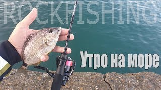 Утро на море