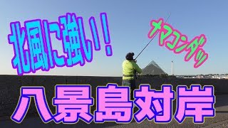 釣り動画ロマンを求めて 228釣目（八景島対岸）