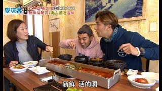 【南北亞】自己的魚自己釣！新鮮現吃才是王道！南北亞釣魚大賽？！【週三愛玩客】#303