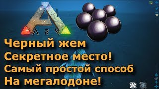 Черный жемчуг в ARK на Мегалодоне либо киркой! Простой способ добыть и найти черный жемчуг в АРК! ?