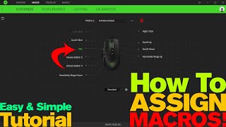 How to Assign MACRO to Razer Mouse - 2019