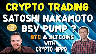 SATOSHI NAKAMOTO BSV Pump ? | BTC and Altcoins Technical Analysis with Crypto Hippo