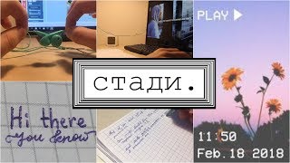 ? стади виз ми // study with me // учись со мной ?