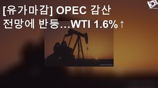 [유가마감] OPEC 감산 전망에 반등…WTI 1.6%↑