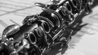 Concerto For Clarinet & Wind Ensemble: I. Rhapsody For George - Frank Ticheli