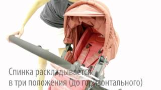 Обзор коляски Jetem Carrera