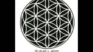 生命之花