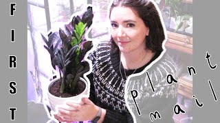 My First Plant Mail! ? || ZZ Raven from Amazon ?