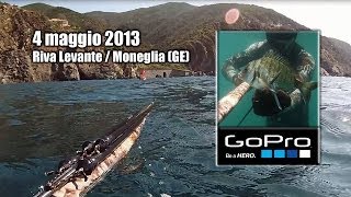 Test GoPro HERO3 | Liguria, Moneglia | Pesca subacquea, Spearfishing, Chasse sous-marine