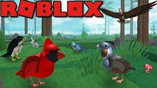 Симулятор птицы в Роблокс - Roblox Bird Simulator - клевые видео игры для детей