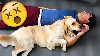 Playing Dead with CHICA!!