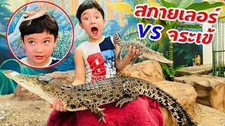 สกายเลอร์ VS จระเข้!! ชาละวันจิ๋วใจกล้า!!