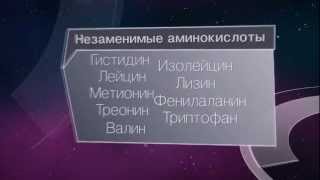 Спортивное питание. Аминокислоты.