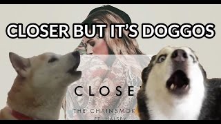 Closer but it's doggos