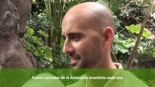 Jaguares - Enriquecimiento Ambiental